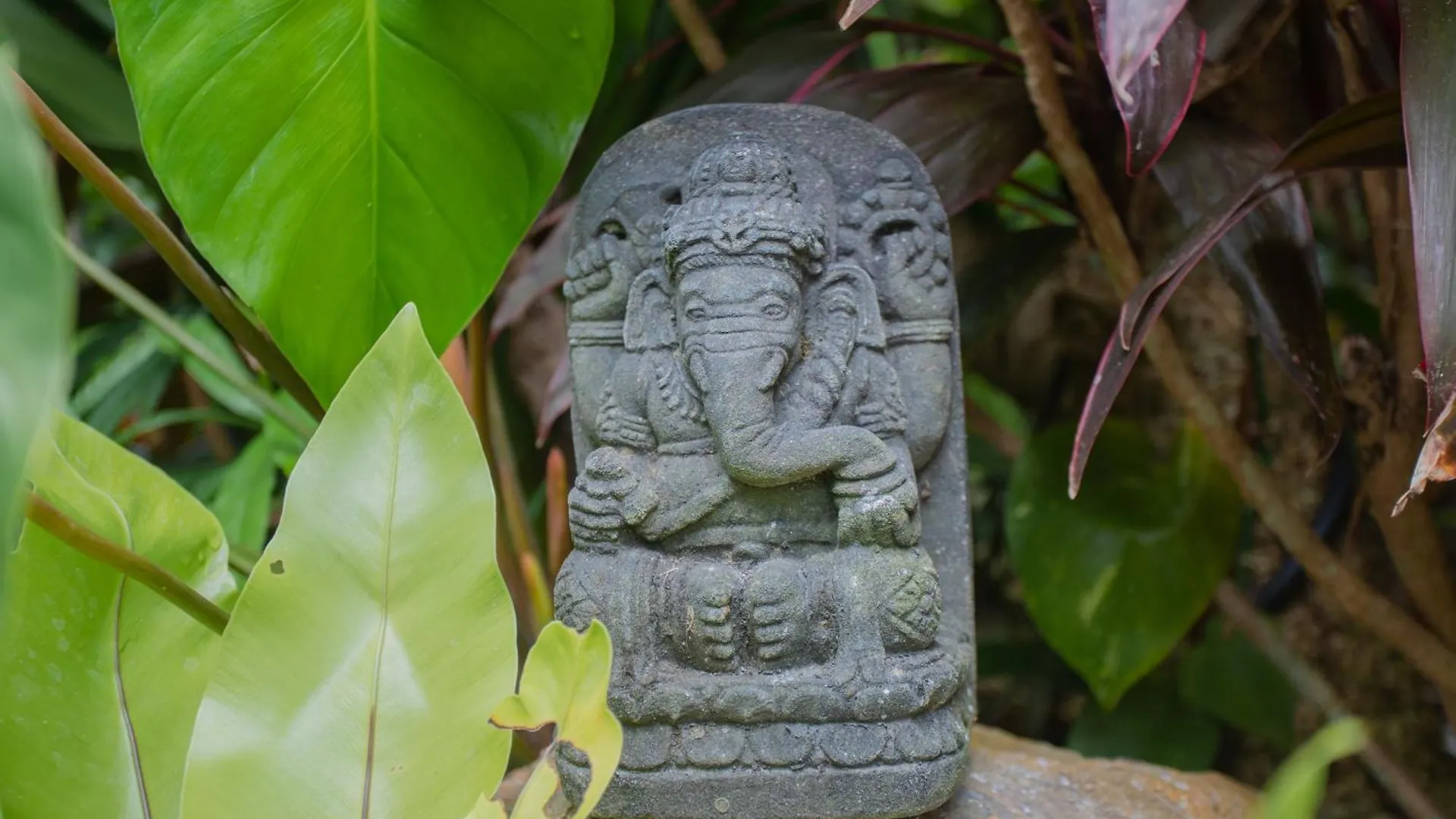 Laxmi Villa Ubud 5Br  אובוד